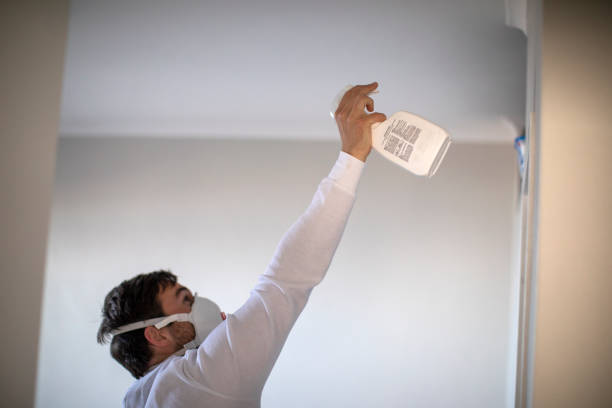 Best Affordable Mold Removal  in Spencer, WI