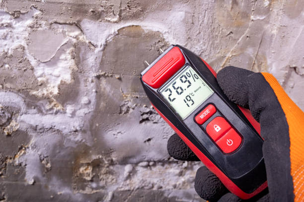 Best Mold Inspection  in Spencer, WI