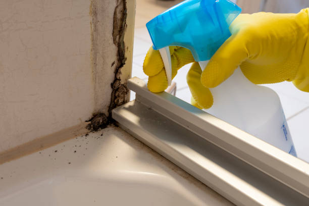 Crawl Space Mold Removal in Spencer, WI
