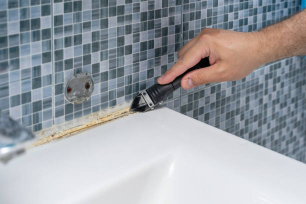 Best Commercial Mold Removal  in Spencer, WI