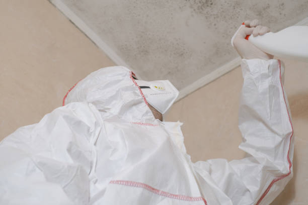 Best Mold Cleaning Services  in Spencer, WI