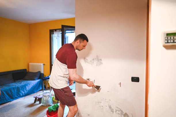 Best Mold Testing and Removal  in Spencer, WI